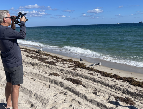 Celestial Navigation, GPS and the Risk of Outsourcing Your Thinking to AI